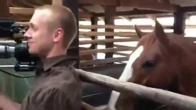 Horse eats the camera man's head