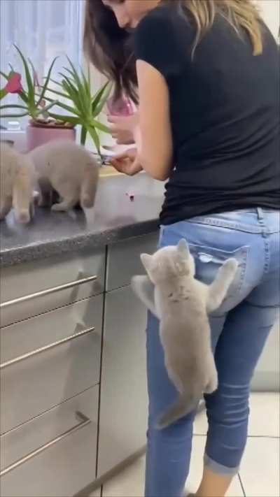 Finally, they conquer the food !!! ❤❤😍😍😍