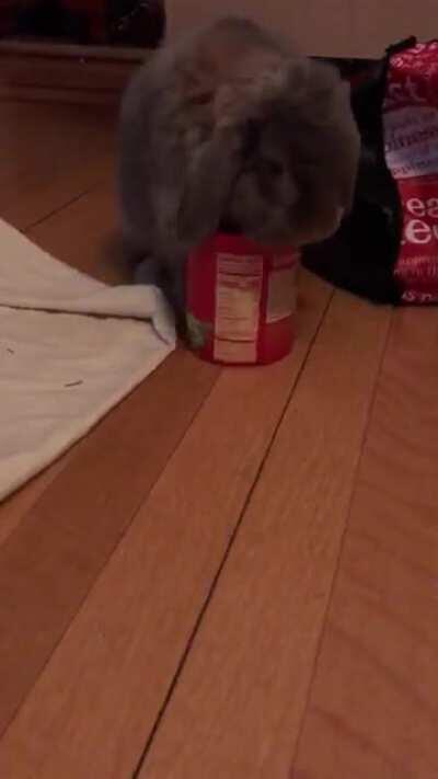 “Let me just pour out one serving!” (Mommy stopped me from eating more than two because she doesn’t want me to live my best bunny life)