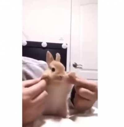 Have a nice day/night/morning