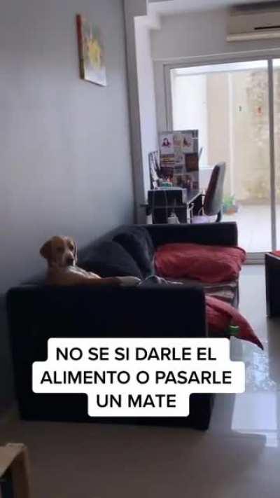 Look at this distinguished gentleman