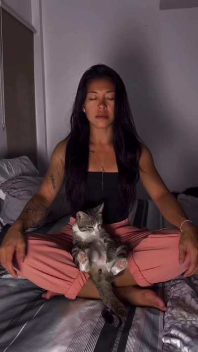 Even cats need to slow down after a busy week