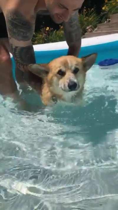 Alfie’s first swim sesh 🥰