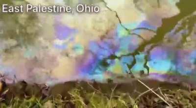 The Toxic Environmental Costs in East Palestine Ohio, don't let Norfolk Southern Lie their way out of this!