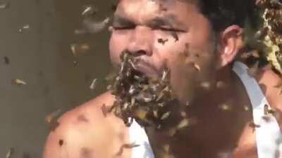 C o n s u m e the i n s e c t