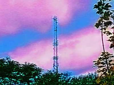 You Had to Call Me To Come Show You…