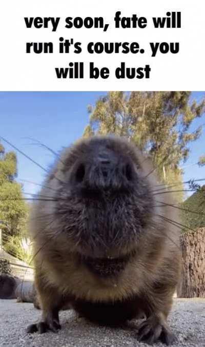 Crumble to nothing, feeble one.