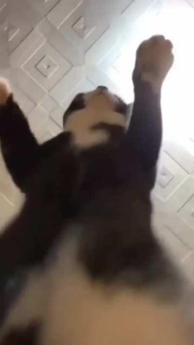 Leaked footage of P.F. Chang's after-hours staff party