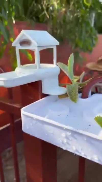 Bro builds a LITERAL gated community