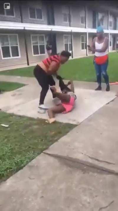 When Corolla Collide With a Hummer Head To Head