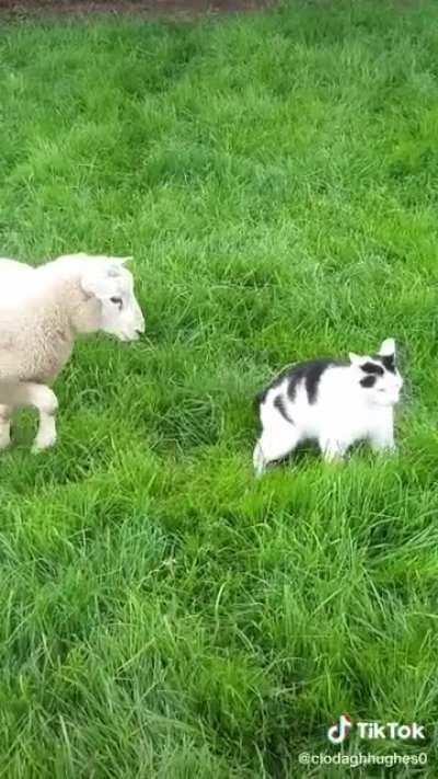 When that kiss makes you quiver