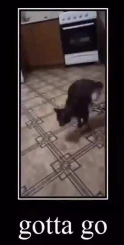 bye mfs 😁😁😁😁😁