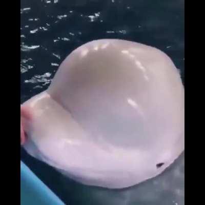 What to do if you face a hostile soldier