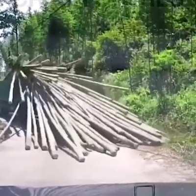 Quick game of pick up sticks.