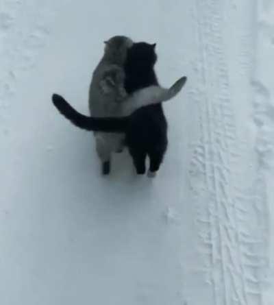 After July 1, Wegobuy and EU customers are like this...