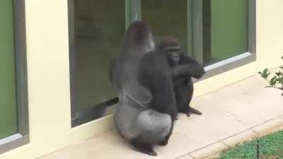 Сыну не нравится дождь.