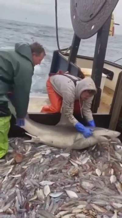 Why do I picture Jeannie with snackos?!