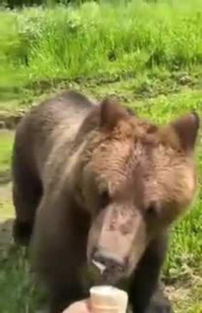 - Throw him something to get behind! - Okay, hold on, will you leave us behind, finally?