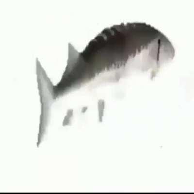 Só Mais um vídeo merda e sem sentido foda se