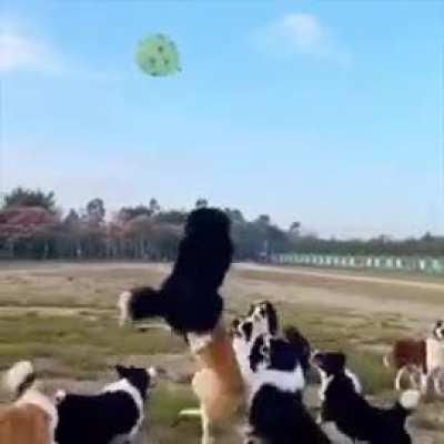 Balloon fun.. ð