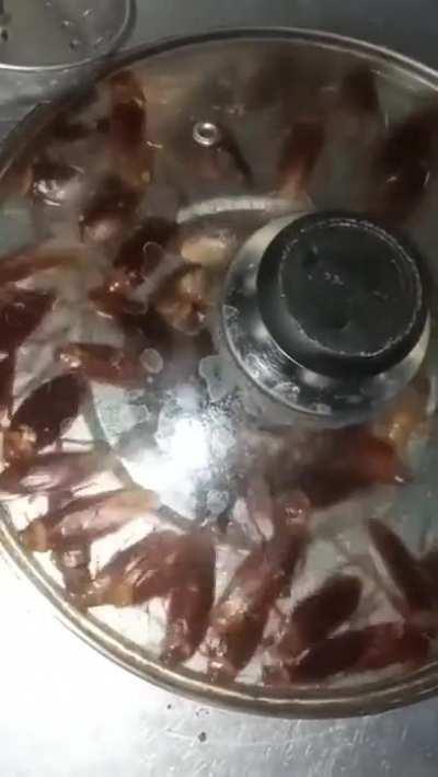 Thanks, I hate everything about blocked sinks 