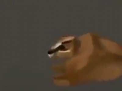 PS2 Floppa: 100 HP, 20 ATK per hit, 50 DEF. Can only be summoned once