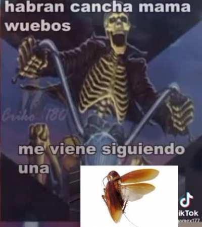 BeelcitosMemes - Video #1609