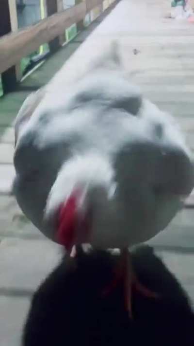 running into the weekend like 😂