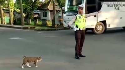 We need more people like this