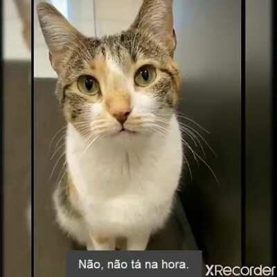 Você quer comer? Mas você já comeu...