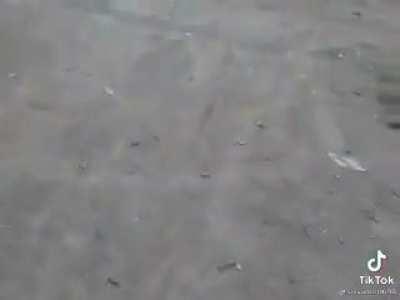 To safely test a firearm with bouncing rounds.