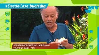 Ah caray. Eso me interesa.