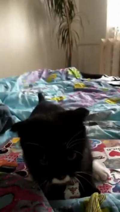 Jump Scares are getting out of hand.