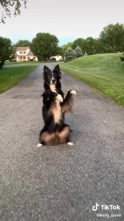 His hops to the beat 🥺