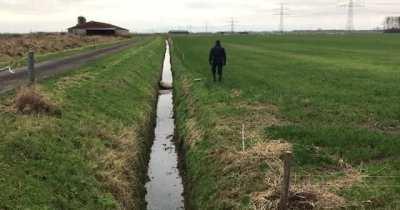 free the sheep from a ditch