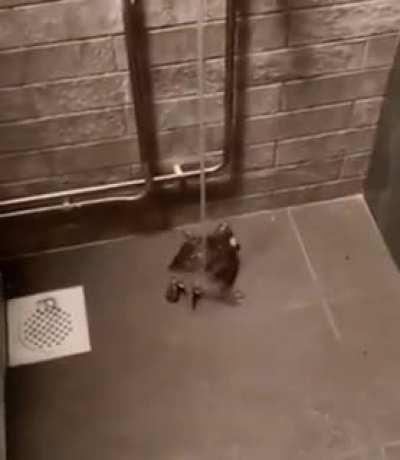 “Bruno, where is Jean-Pierre?”