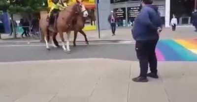 Someone is gonna try to charge these horses with a hate crime.