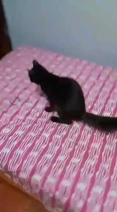 Hola, soy Kuroro y vengo al Martes de Michis