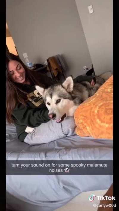 Such beautiful vibrato