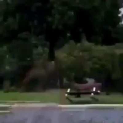 Orslock cuando ve que un meme le va a dar risa, y esta apostando subs