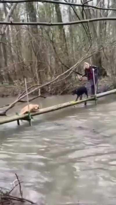 Move bitch, get out the way