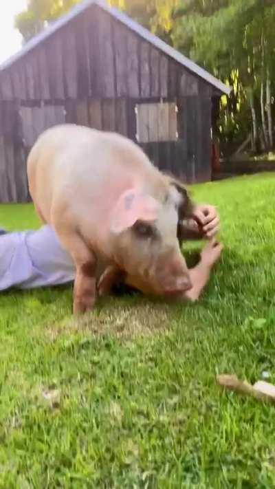 Ok human, I will cuddle with you