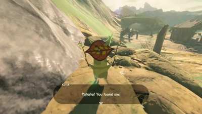 Now is not the time korok