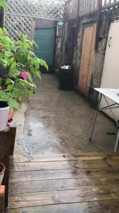 Crack of thunder and a minute later, downpour!