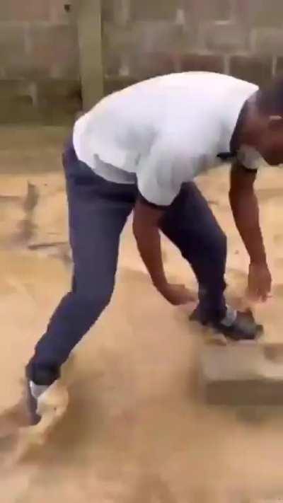 IhaveIhaveIhave intelligence 