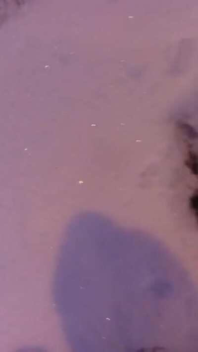 Egegenes e meydan okuma Edirne çorlu burgaz siz de yazın kara bişeyler