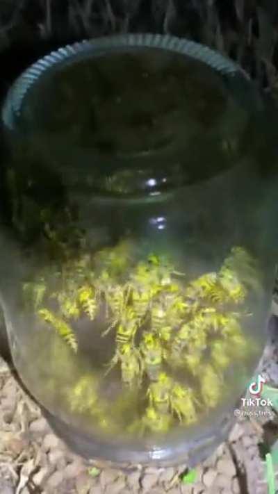 How would you get rid of it?