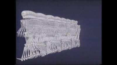 a skeleton walking gif.