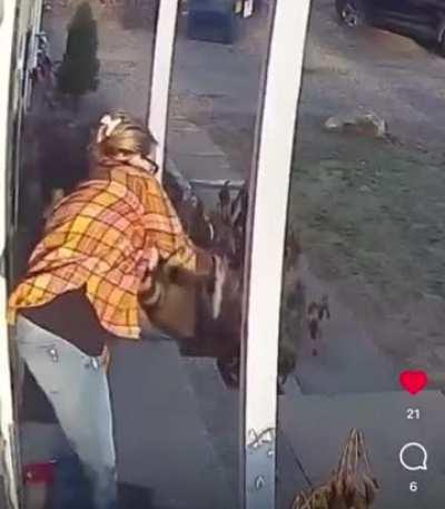 Mother of the year protects her daughter from raccoon