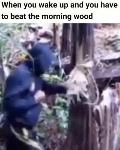 This is the new trend